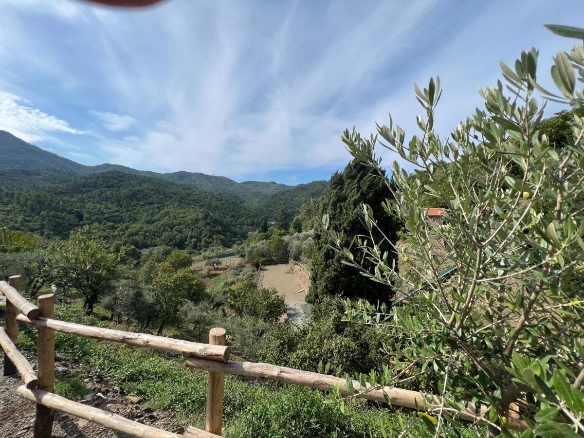 Agriturismo Torsivi Castiglione Chiavarese Eksteriør bilde