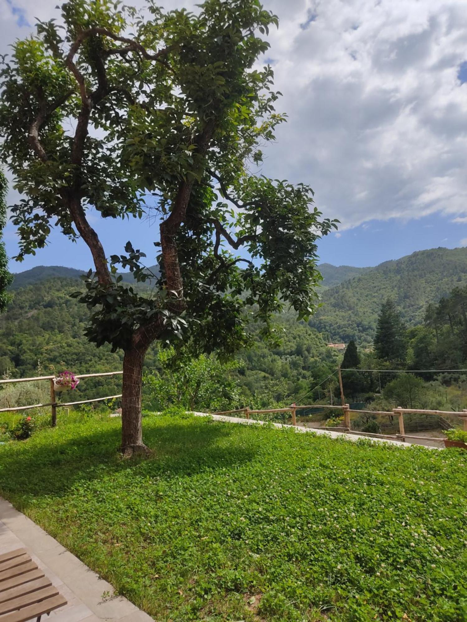 Agriturismo Torsivi Castiglione Chiavarese Eksteriør bilde